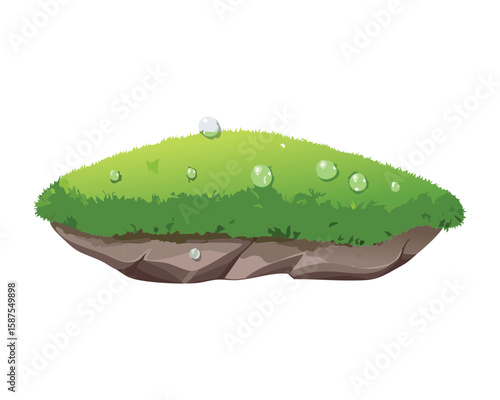 Flat Mossy Ground with Water Droplets