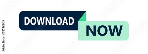 Download Now Button: A vibrant and modern button inviting instant action, with dynamic colors, clean lines. The Download Now button design is a visual call-to-action.