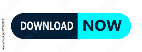Download Now Button: A sleek, modern digital button beckons users to initiate a quick and convenient download process. Its vibrant colors and clean design emphasize simplicity.