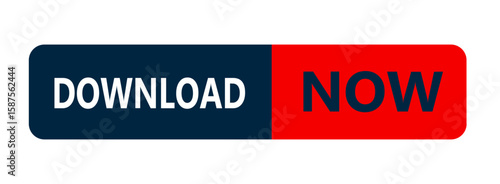 Button Download Now: A rectangular button split into two distinct sections, with DOWNLOAD in bold white letters against a dark blue background on the left.
