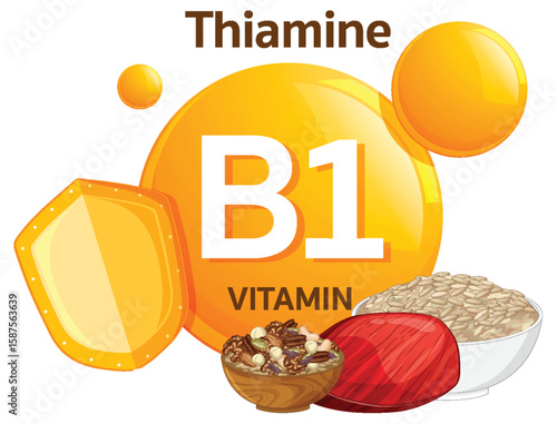 Vitamin B1 Thiamine Sources and Nutritional Benefits Illustration