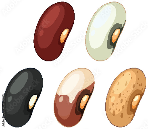 Assorted Beans Vector Illustration in Flat Style