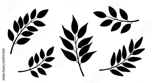Black Silhouette Sprigs: Collection of six elegant black silhouette sprigs, perfect for design projects needing a touch of natural elegance.  Each sprig features leaves in varying arrangements.