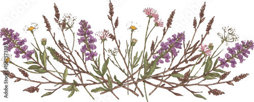 Nature-themed horizontal divider with wildflowers and branches, balanced and stylized, Adobe Illustrator