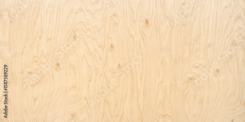 wood texture background. li...
