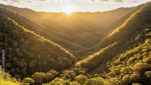 Sunset Illumination Over Dense Tropical Valley