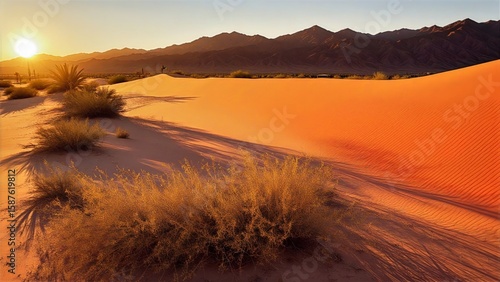 Sunlit Desert Dunes with Mountain Backdrop