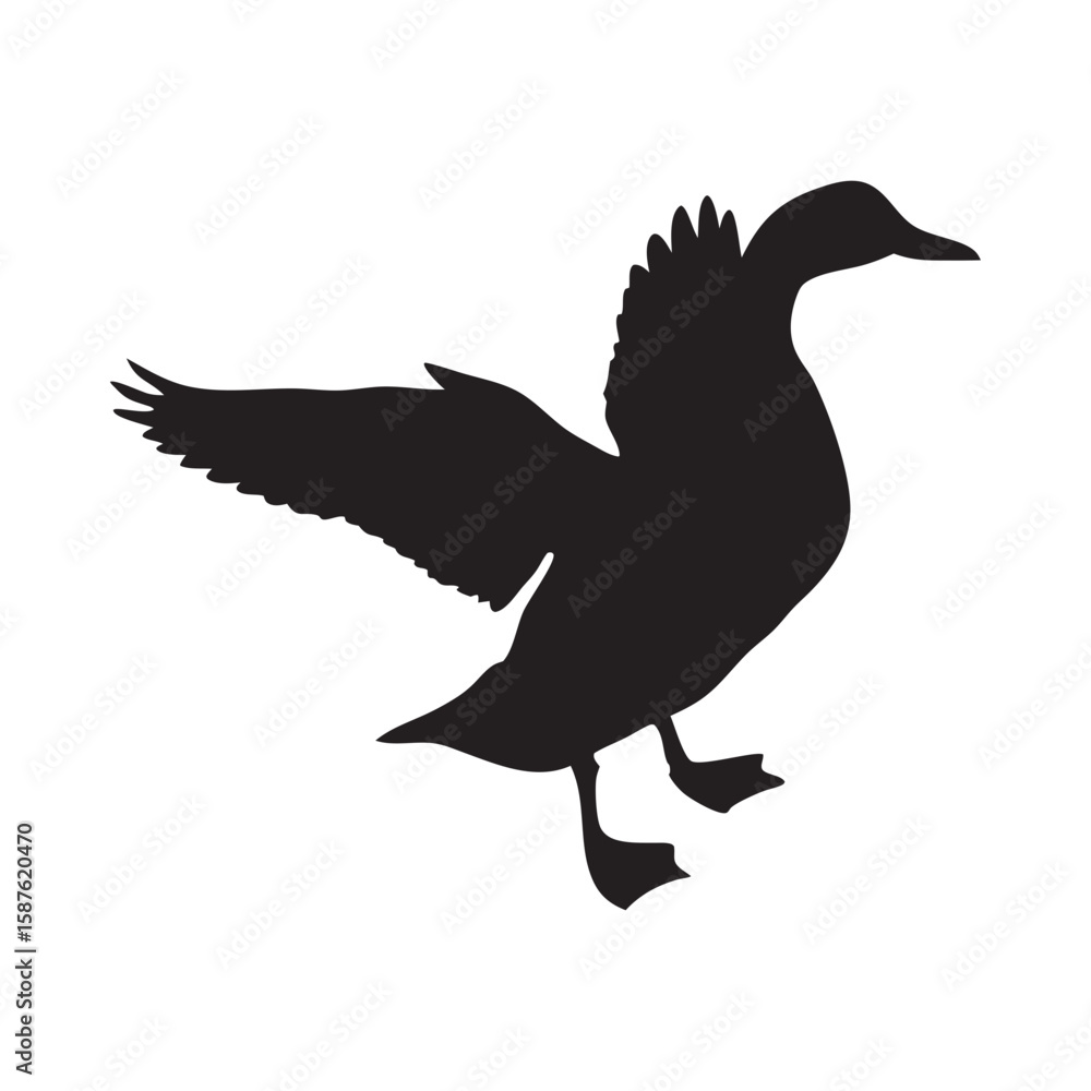 Obraz premium silhouette of a duck