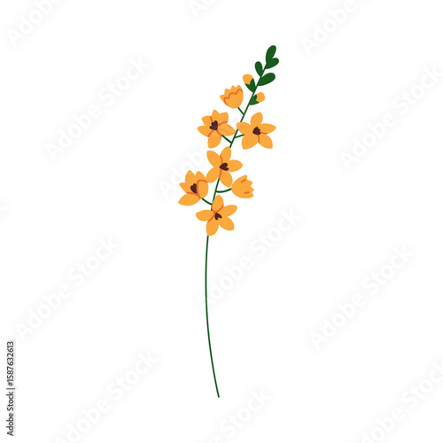 Floral bloom, delicate wildflower on thin stem. Gentle field flower, herbal p...