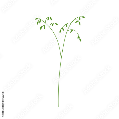 Green leaf branch. Simple greenery, foliage sprig, thin stem and gentle delic...