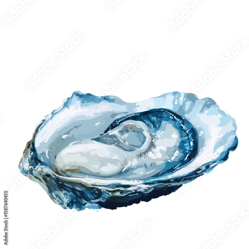 Oyster shell, isolated watercolor illustration