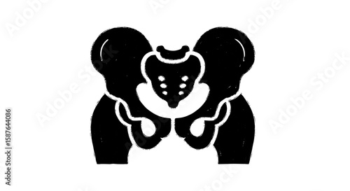 Pelvis bone anatomy sketch icon set. Hand drawn pelvic bone skeleton health icon. Vector human pelvic anatomy study illustration