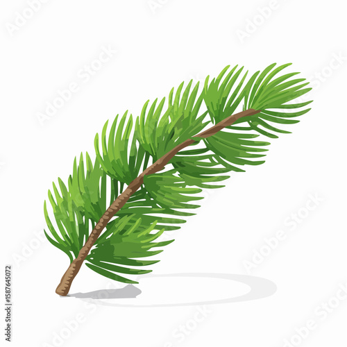 Green Spruce Sprig, Fresh Christmas Evergreen Branch