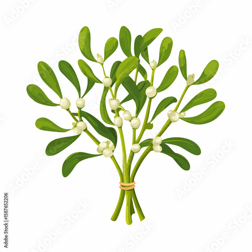 Festive Mistletoe Branch, Charming Holiday Greenery