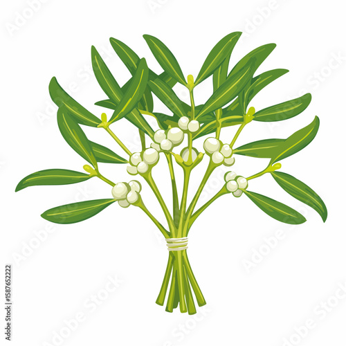 Kissing Mistletoe Sprig, Romantic Christmas Holiday Tradition