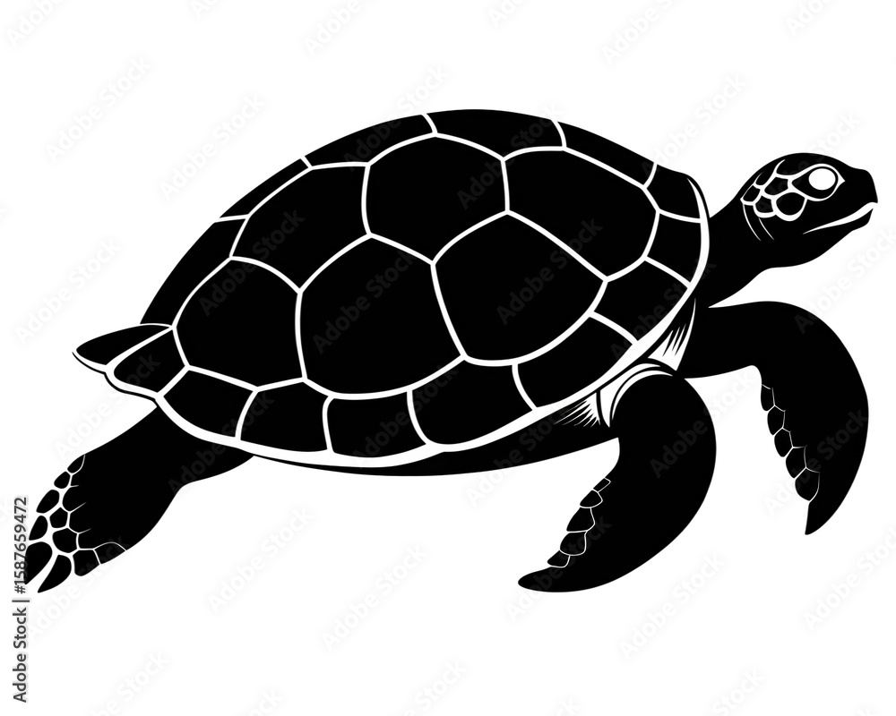 Fototapeta premium a black and white silhouette of a turtle black on white background, PNG