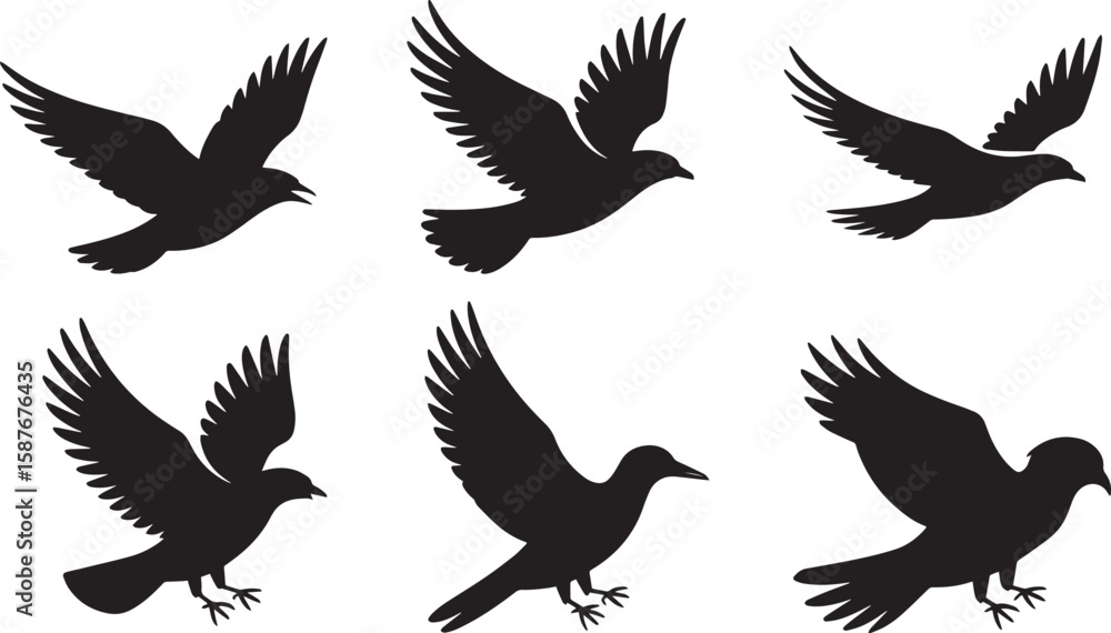 Obraz premium Six black bird silhouettes in flight flying wings