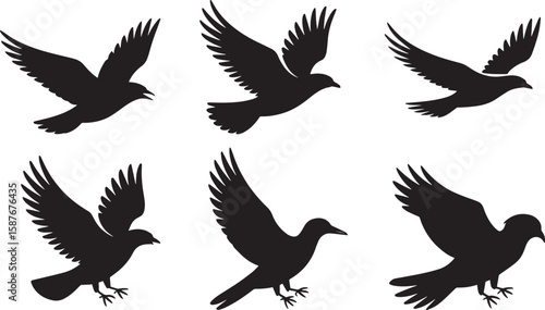 Six black bird silhouettes in flight flying wings