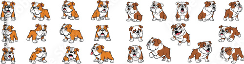 Cartoon English bulldog vector illustration with different expressions and poses.