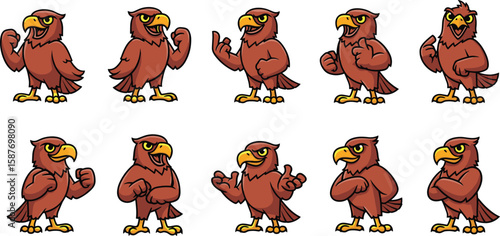 Set of cartoon hawk mascot character in various poses and expressions vector illustration