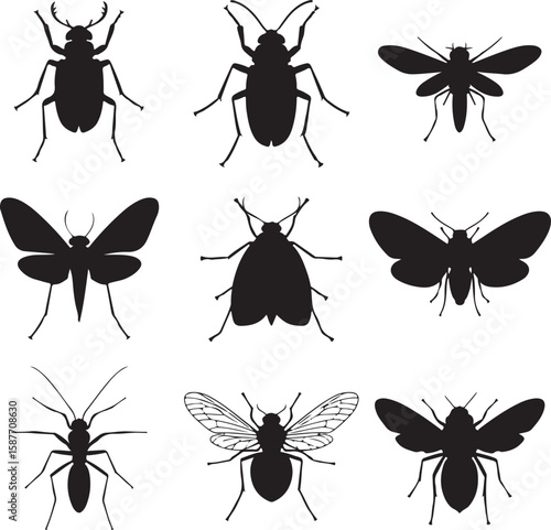 Black insect silhouettes collection vector beetle