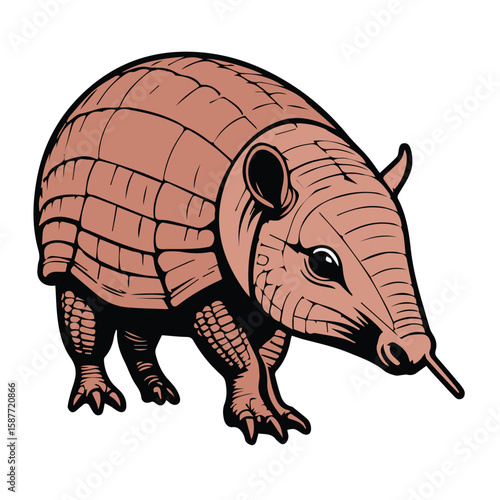 Armored mammal with a detailed exterior in a simple, stylized graphic design. Animal facing forward, showcasing its distinctive segmented shell and posture against a white background.