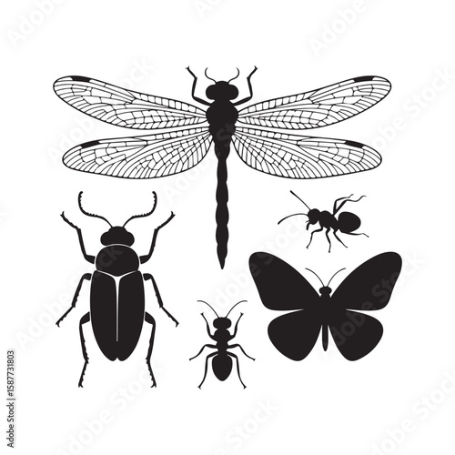Collection of black silhouette insects, including dragonflies, butterflies, cockroaches and ants.