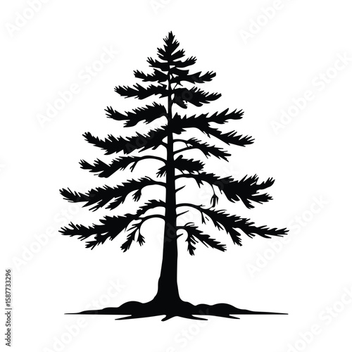 Pine tree silhouette in a simple, graphic design. Silhouette of a pine tree with a clearly defined shape and branches, displaying its full form in a minimalist style.