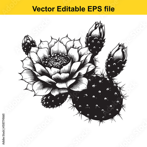 Plant roots and earthworms in fertile soil illustration
