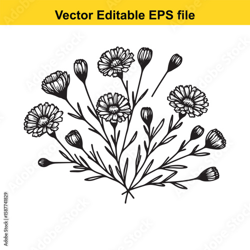 Plant roots and earthworms in fertile soil illustration