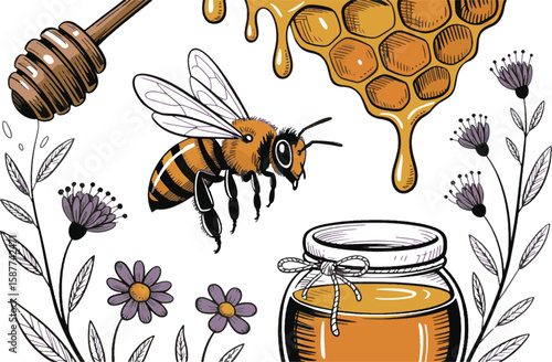 Honey bee flying near purple flowers honeycomb jar and dipper vector