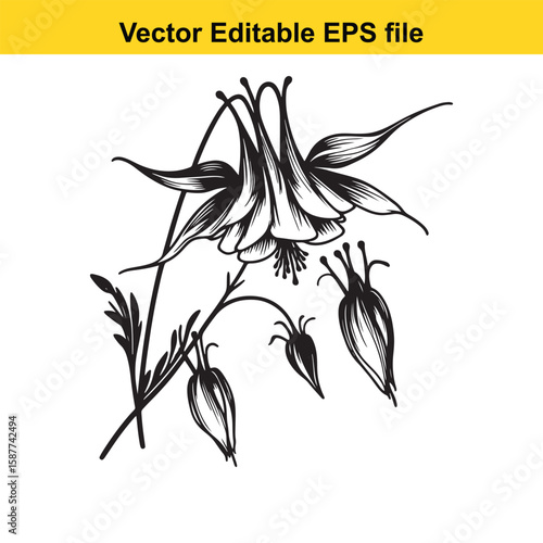 Plant roots and earthworms in fertile soil