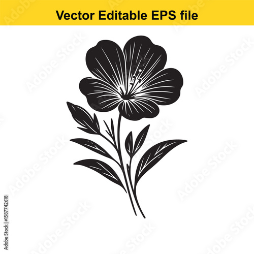 Plant roots and earthworms in fertile soil