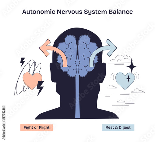 Autonomic Nervous System Balance is shown with a brain, arrows, and hearts, illustrating fight or flight vs rest and digest. Doodle style diagram