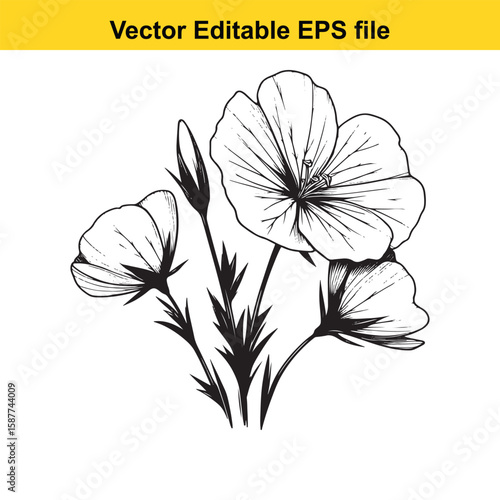 A bunch of flax flowers in a black and white illustration