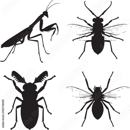 Praying mantis wasp beetle insect silhouettes vector