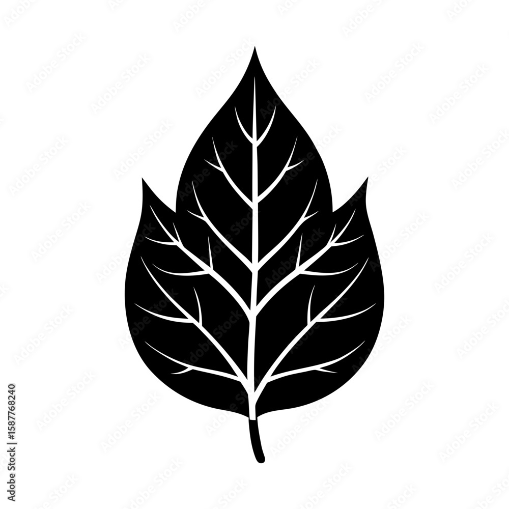 Fototapeta premium Botanical foliage leaf nature plant spring summer autumn vector silhouette