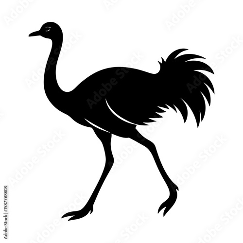 Walking ostrich vector illustration wildlife animal design art silhouette