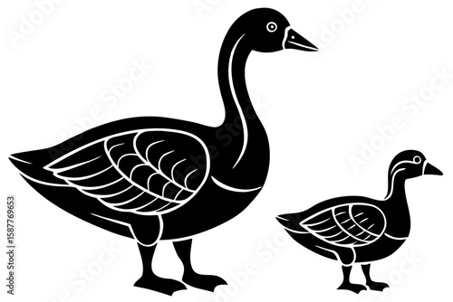 two geese on white background