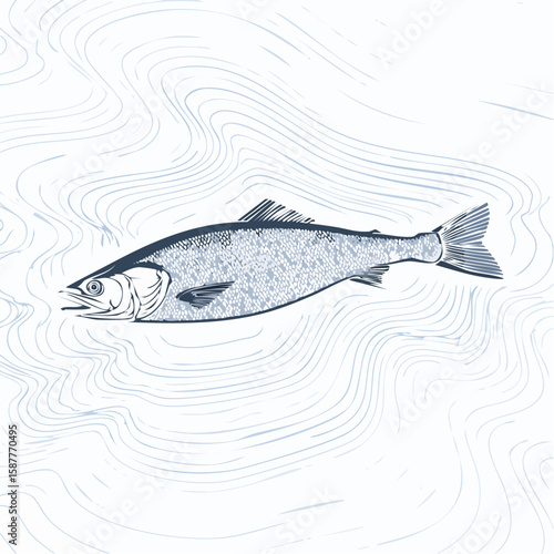 Fish seen beneath shallow water with light ripple effect, stylized in overhead vector sketch.