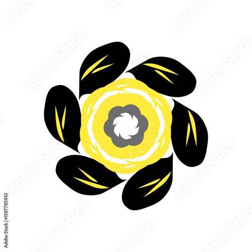 black and yellow flower
