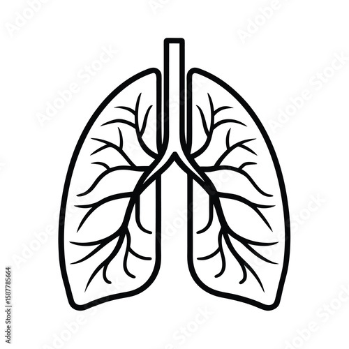 human lung anatomy respiratory system health icon