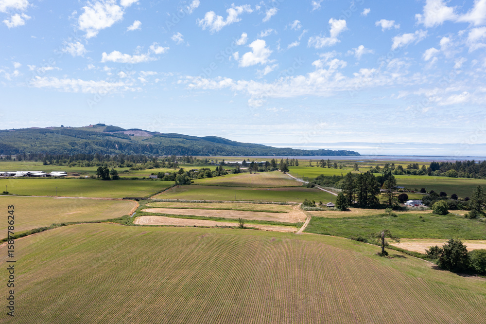 Naklejka premium Aerial drone view of lush green countryside in Tillamook, Oregon, a small coastal town near the Pacific Ocean - farmlands, highway 101, country roads, rural houses, mountains, and blue sky in summer