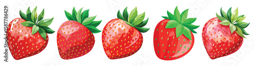 Delicious strawberries set collection illustration fresh fruit food sweet vector illustration
