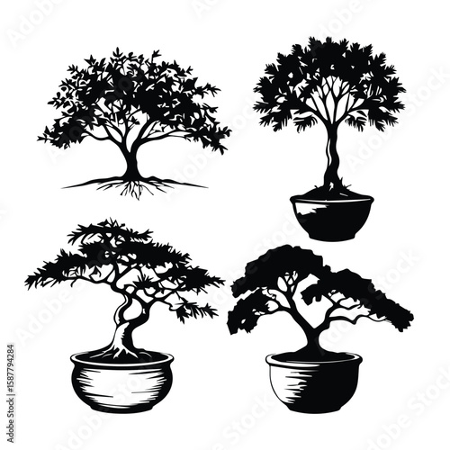 Black and white silhouettes of various bonsai trees in pots. Silhouette designs of bonsai trees in individual pots with detailed branches and roots.