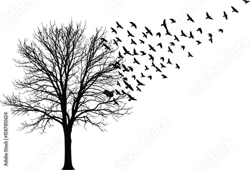 Silhouette of a bare tree with a flock of birds flying away