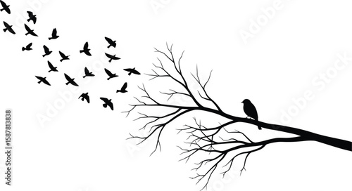 Silhouette of a flock of birds flying away from a bare tree branch with one bird perched