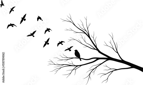 Silhouette of a lone bird perched on a bare tree branch with flock of birds flying