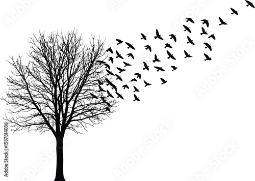 Silhouette of a bare tree with a flock of birds flying away