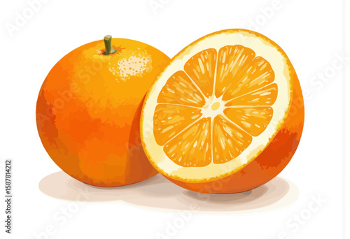 Whole and sliced orange on white background  